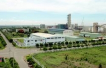 Giảm 50% tiền thuê đất đối với một số tổ chức kinh tế 