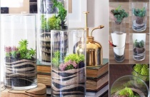 Sáng tạo với khu vườn mini đơn giản mà tuyệt đẹp