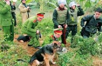 Thu hồi đất: Nhạy cảm và khó khăn 