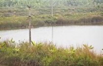 Thủ tướng Chính phủ sẽ chủ trì họp chỉ đạo giải quyết vụ việc cưỡng chế thu hồi đất ở Tiên Lãng 