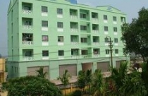 Phát triển mẫu nhà ở xã hội điển hình 