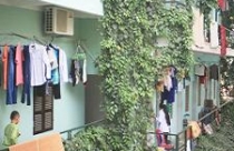 Chung cư mini: Vẫn &quot;tắc&quot; sổ đỏ 