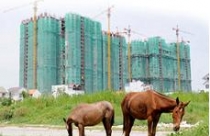 Khi những quy định thừa quá thừa, thiếu quá thiếu 