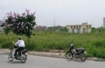 Thủ tướng yêu cầu kiểm tra &quot;đất vàng&quot; bỏ hoang 