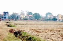 Hà Nội thúc đẩy dồn điền đổi thửa 
