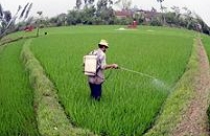 Đề xuất bỏ thời hạn giao đất nông nghiệp 