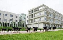 Đề xuất hàng loạt thay đổi trong chính sách đất đai 