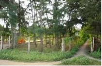 Cần Giờ: Các hộ dân được cấp đất sai phải nộp lại tiền 