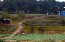 “Đa số tỉnh, thành ủng hộ sở hữu toàn dân về đất đai” 