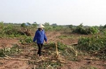 20 người bị tạm giữ trong vụ cưỡng chế ở Văn Giang