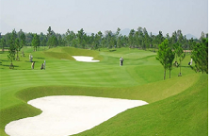 Sân golf trong sân bay: “Không có gì phải lo lắng” 