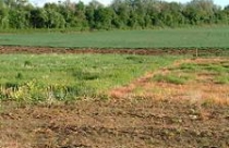 Chính phủ lại đề nghị lùi thời hạn sửa Luật Đất đai 