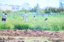 Mẹ con lõa thể không được bồi thường thêm