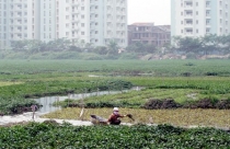 Có hiện tượng “bán chạy” đất nông nghiệp