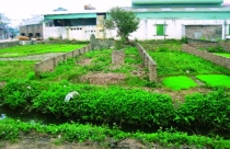 Hà Nội: Hạn mức đất ở mới tại đô thị từ 40m2