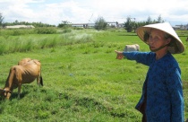 Làm đẹp nội thất phòng khách bằng thảm trang trí