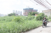 TP.HCM: Chấm dứt việc nghiên cứu đầu tư khu đất dự án Cảng sông ông Lớn