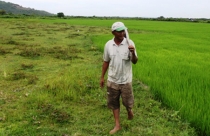 Có hay không dự án sân golf trá hình?