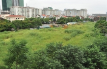 Hà Nội kiến nghị thu hồi trên 3.400 m2 đất hoang