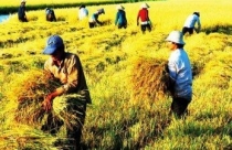 Chính sách đất đai đang vì ai?