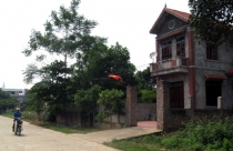 Buông lỏng quản lý đất nông trường trên địa bàn Hà Nội