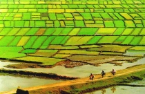 Việc của ngành khác?
