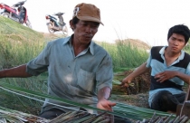 Thu hồi để… tiếp tục "treo"