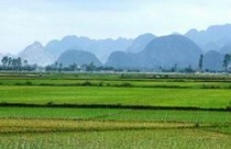 Hoàn thiện Đề án nâng cao năng lực ngành Quản lý đất đai