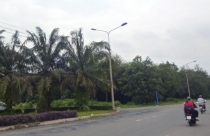 Còn bao nhiêu đất công bị biến tướng?