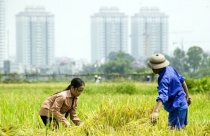 Người mệnh Thủy hợp màu gì trong năm 2020?