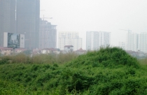 Hội nghị Trung ương 6 với định hướng sửa đổi Luật Đất đai