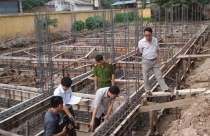 Người mệnh Kim hợp cây gì để làm đẹp không gian sống ?