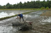 Giải phóng sức ỳ đất nông nghiệp - Bài 1: Bóp nghẹt sản xuất hàng hóa