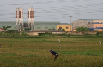 Dự thảo Dự thảo Luật Đất đai (sửa đổi) còn nhiều điểm bất hợp lý