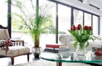 Cách chọn hoa trang trí phòng khách đẹp 