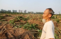 Cách đặt kỳ lân phong thủy thu hút tài lộc