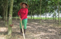 Đất về với nông dân