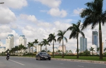 Cố vấn chính sách pháp luật của UNDP: Không nên thu hồi đất cho đầu tư tư nhân