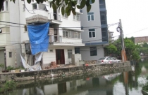 “Đuổi gà” và “gà mắc tóc”