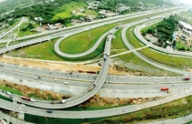 Trang trí nội ngoại thất với cây dương xỉ
