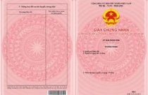 Làm đẹp sân vườn biệt thự bằng ghế xích đu
