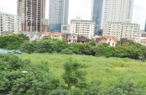 Chất vấn về đất vàng đắp chiếu