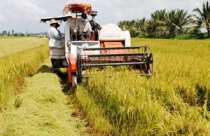 Long An: Tiếp tục kêu gọi đầu tư với 18 dự án thu hồi