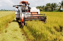 Long An: Xóa dự án "treo" giúp dân ổn định canh tác