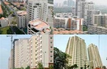 Cây lan ý hút bức xạ, khử khuẩn cho nhà ở