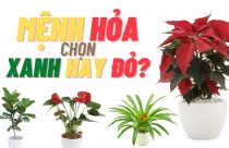 “Nổi lửa” xua “băng” bất động sản