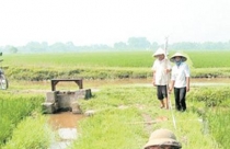 Vướng mắc trong dồn điền đổi thửa