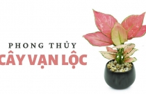 Chuyện... khó tin: Một miếng đất, 2 lần đền bù