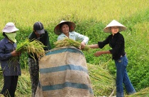 Dự thảo Luật Đất đai: Vẫn phải tiếp tục “đại phẫu”