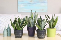 25% địa phương, bộ, ngành chưa báo cáo tình hình chất lượng công trình xây dựng